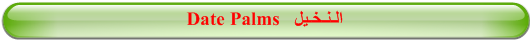 Date Palms   الـنـخـيل