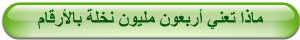 ماذا تعني أربعون مليون نخلة بالأرقام 